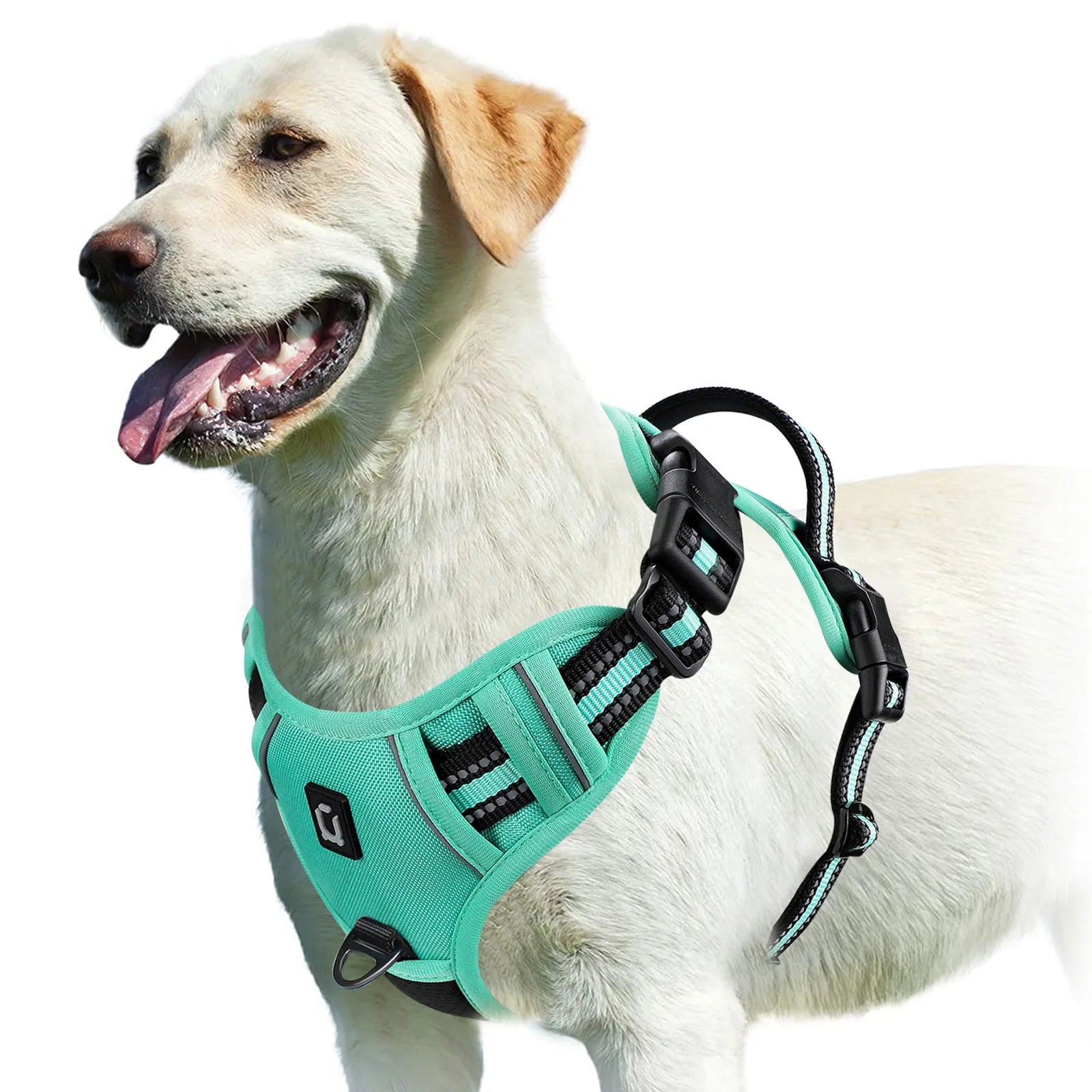 Comfort Control Dog Harness