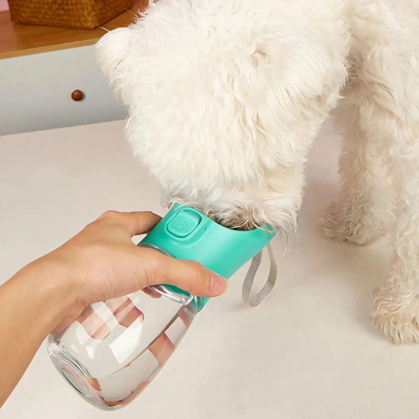 Adventure-Ready Pet Hydration Bottle