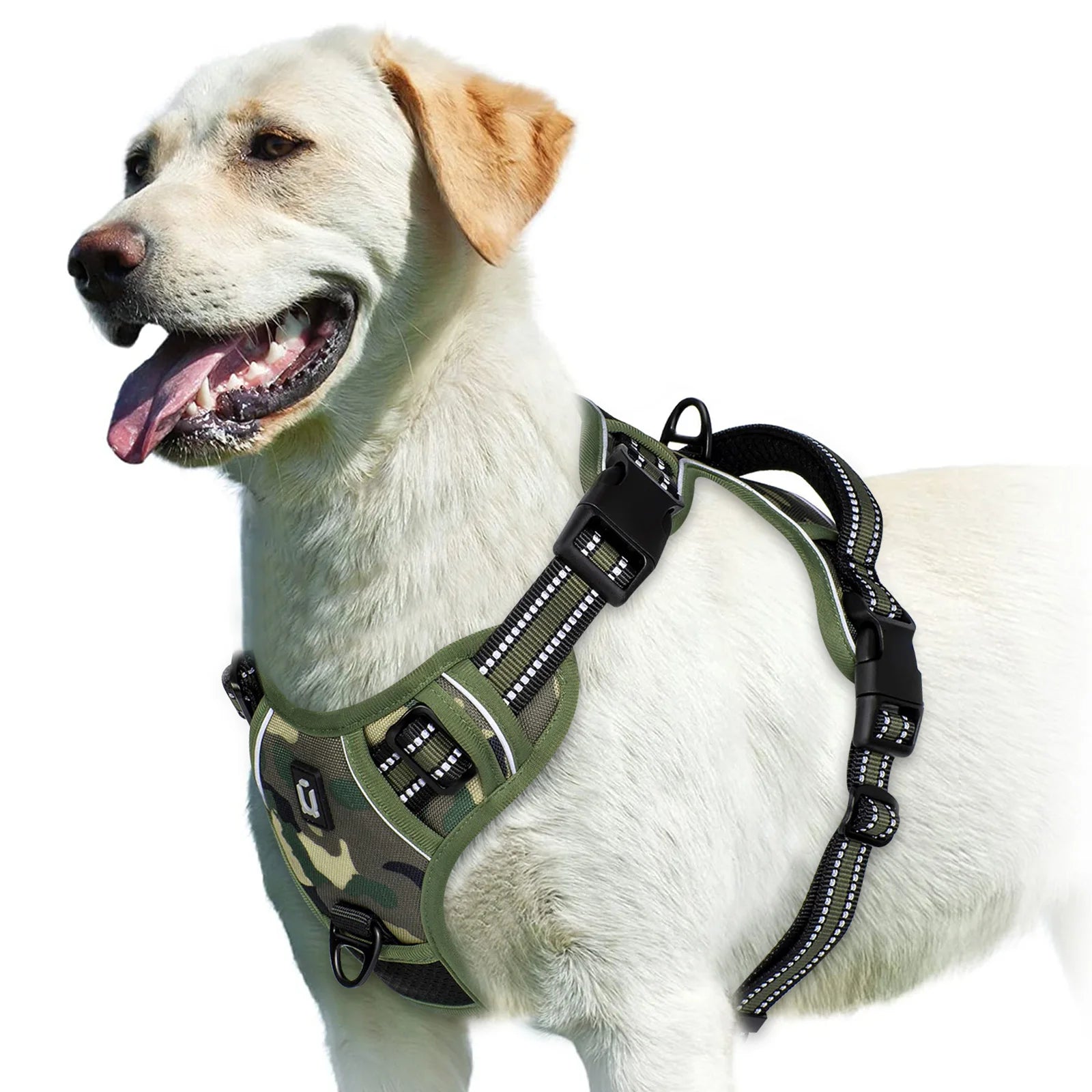 Comfort Control Dog Harness