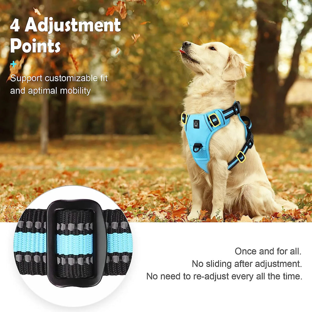 Comfort Control Dog Harness