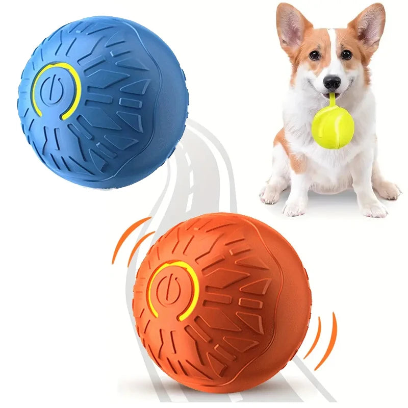 Interactive Play Ball for Happy Dogs