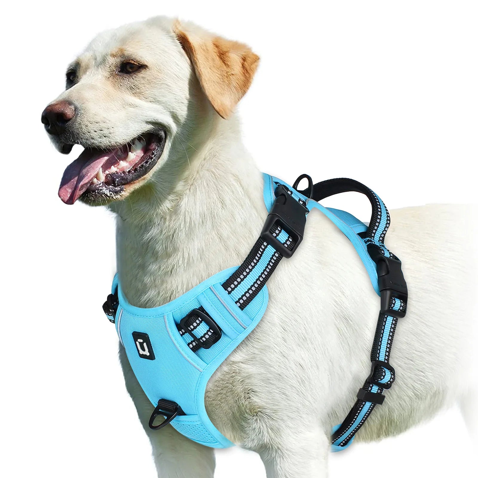 Comfort Control Dog Harness