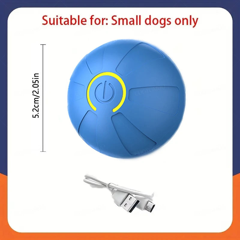 Interactive Play Ball for Happy Dogs