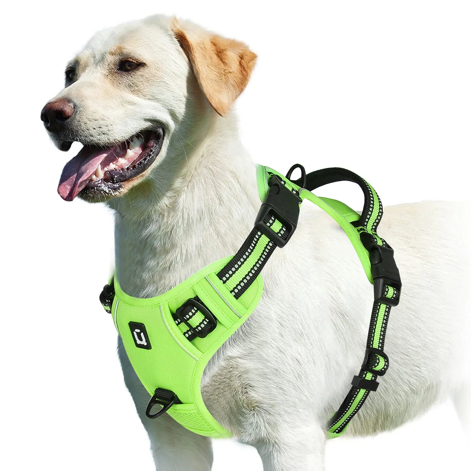 Comfort Control Dog Harness