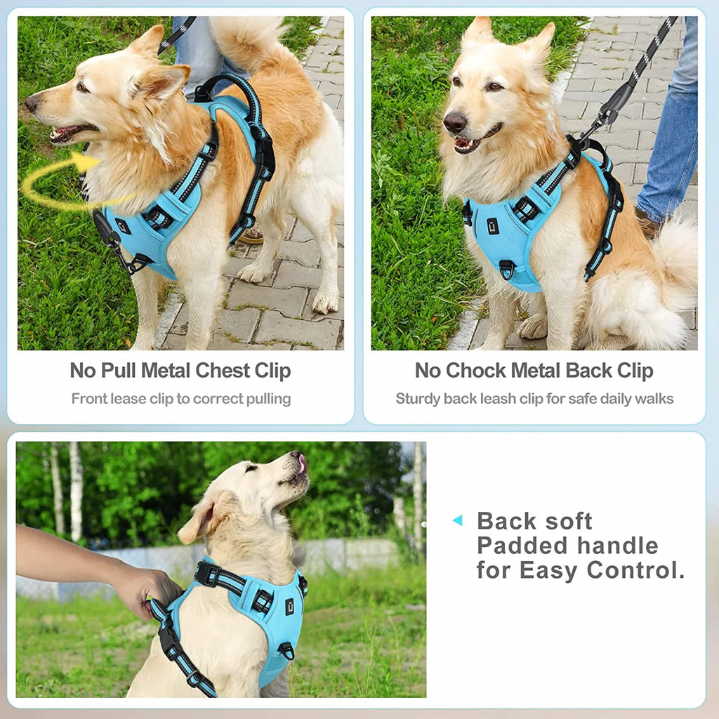 Comfort Control Dog Harness