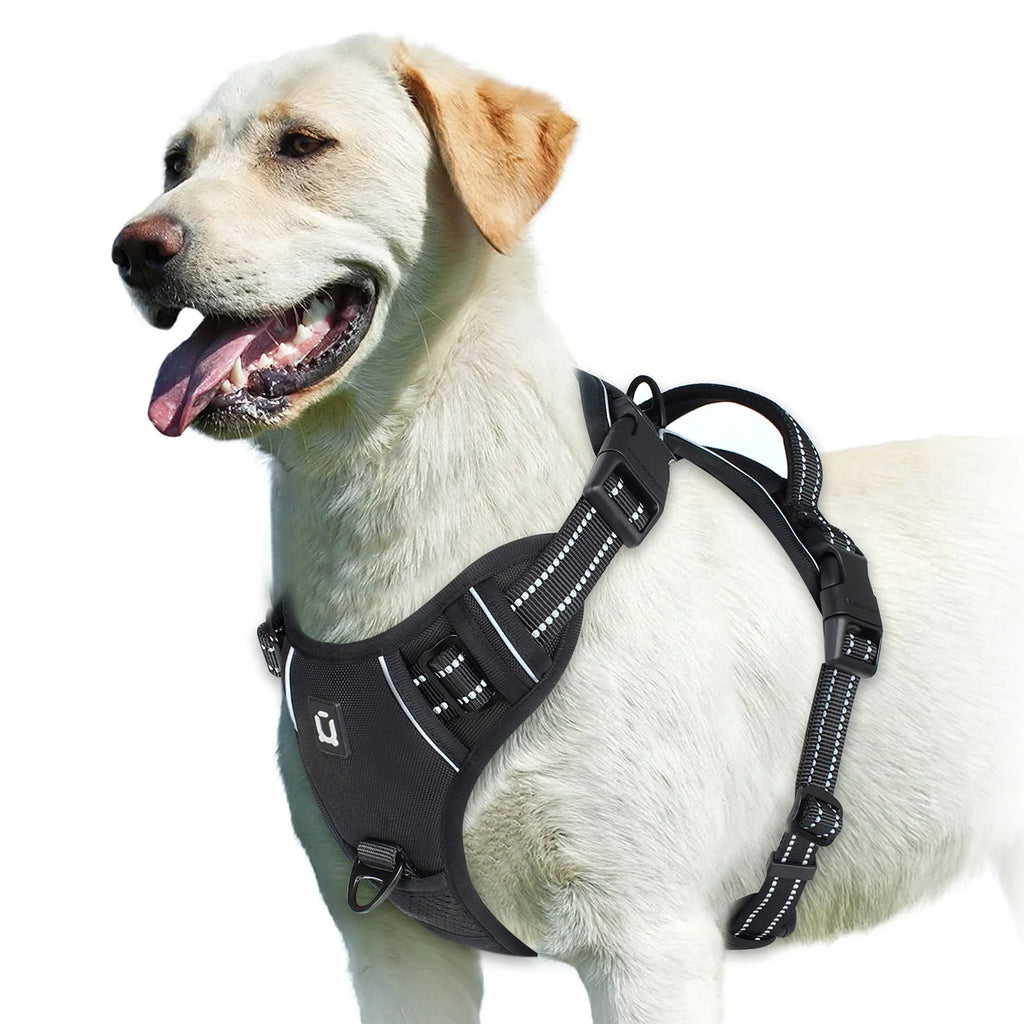 Comfort Control Dog Harness
