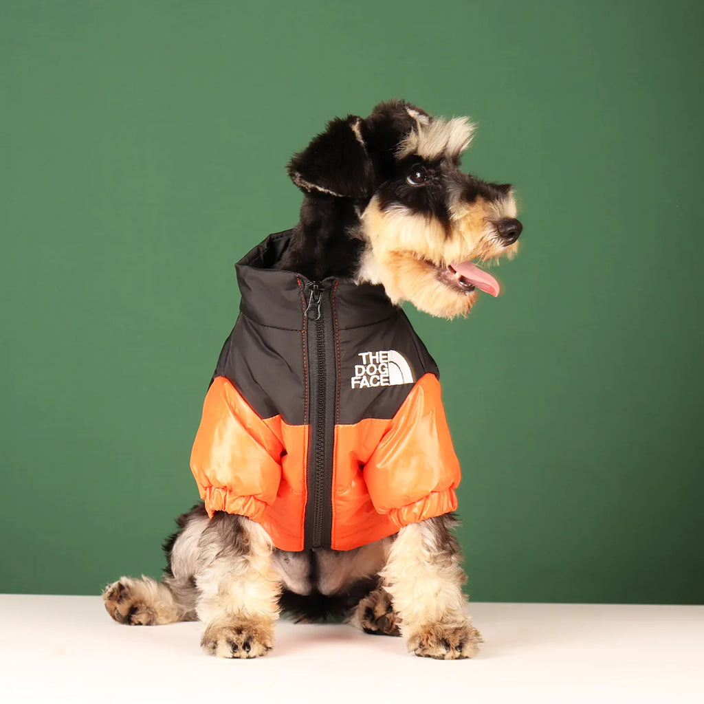 Winter Warmth Dog Jacket