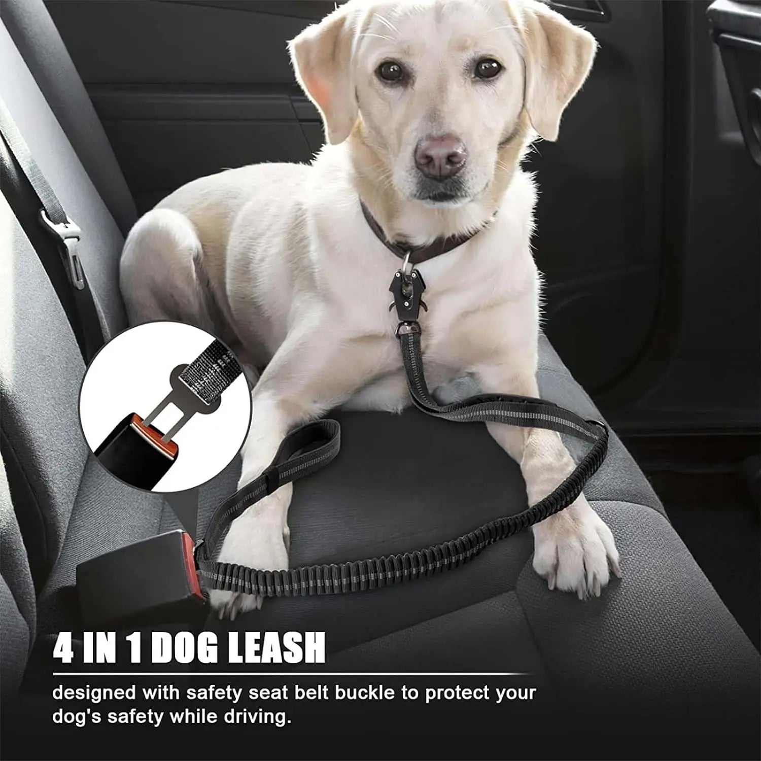 Premium Reflective Bungee Dog Leash