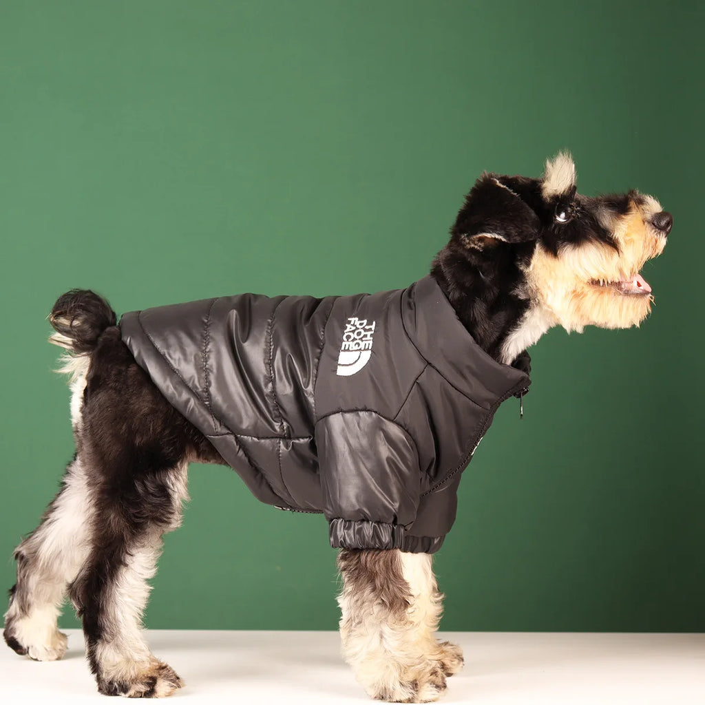 Winter Warmth Dog Jacket