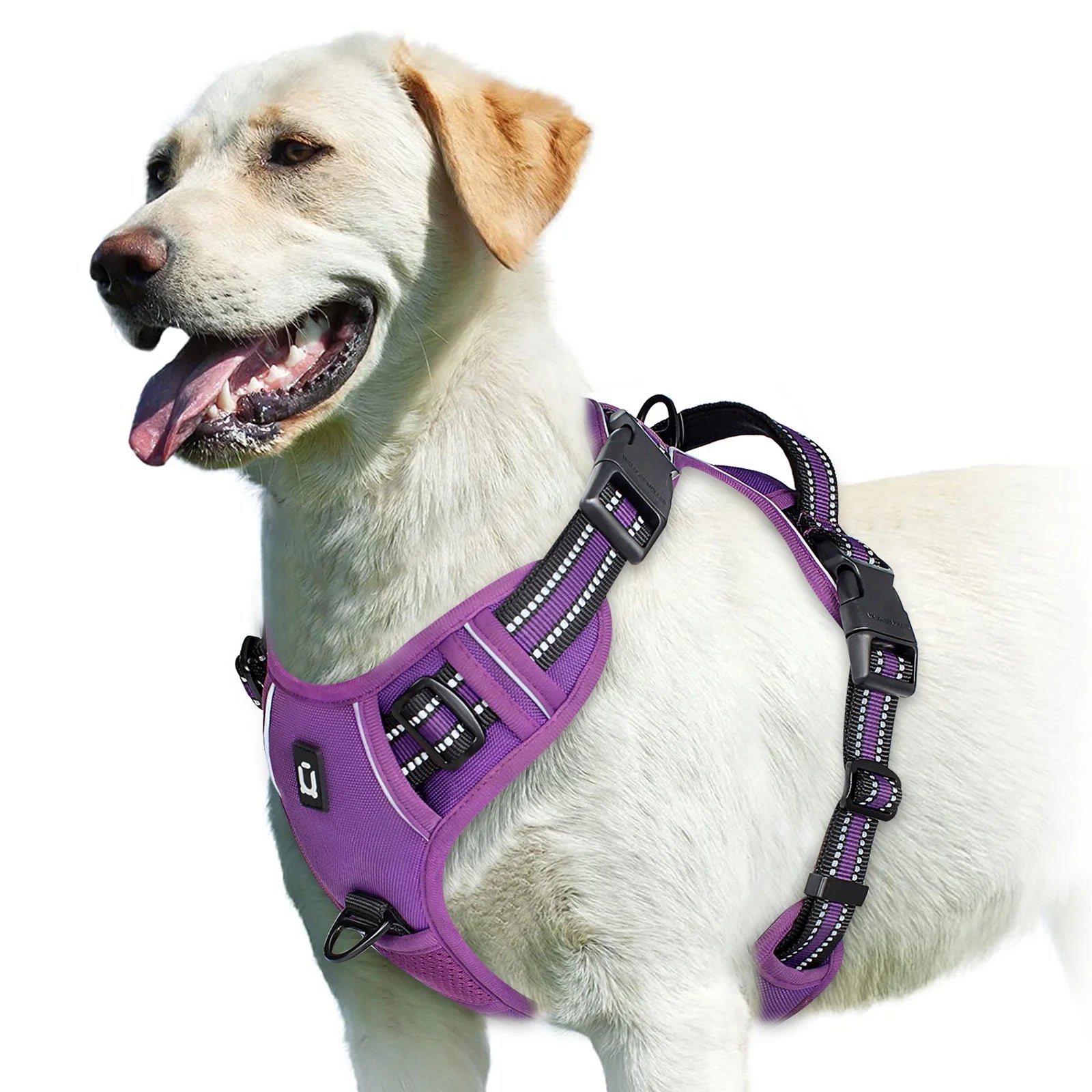 Comfort Control Dog Harness