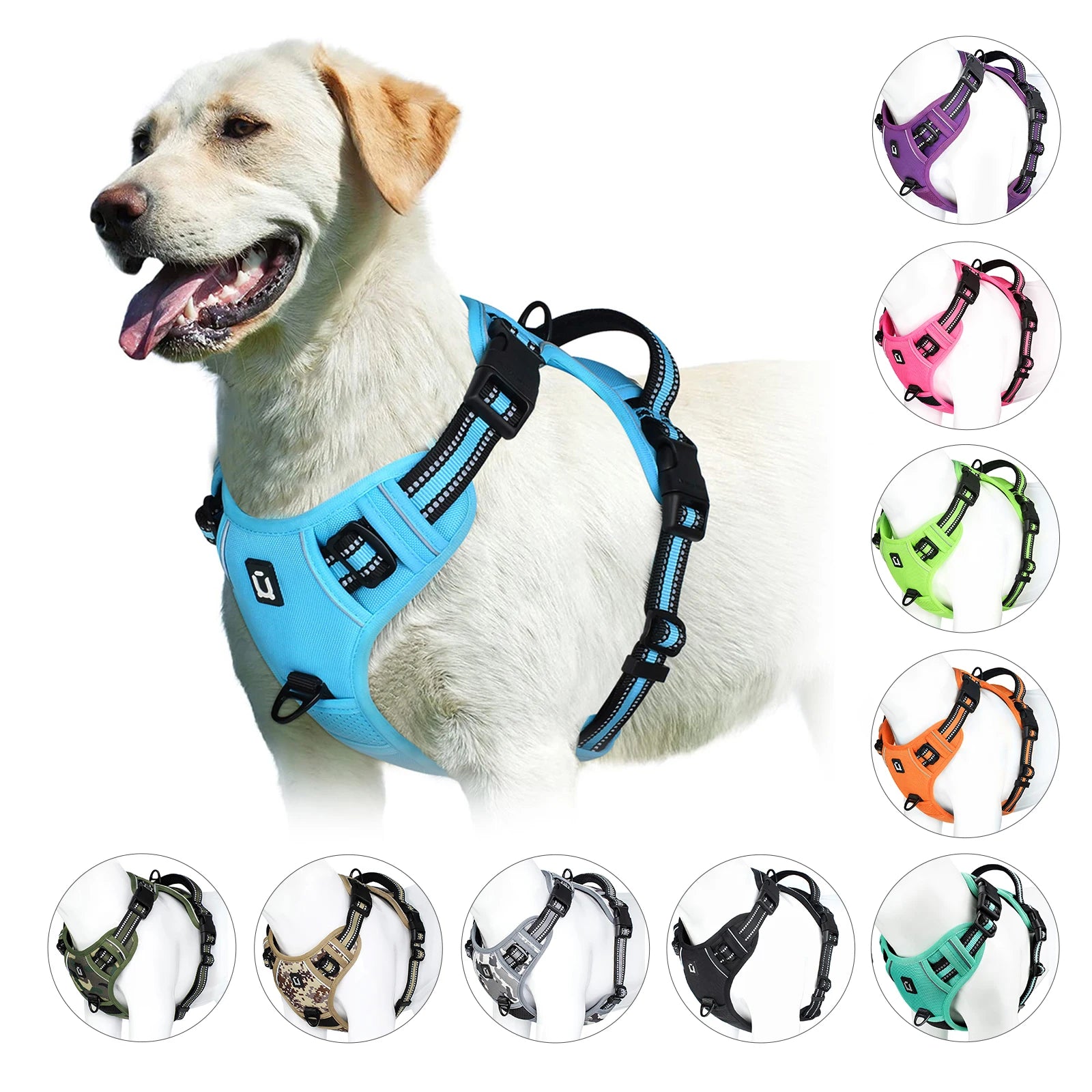 Comfort Control Dog Harness