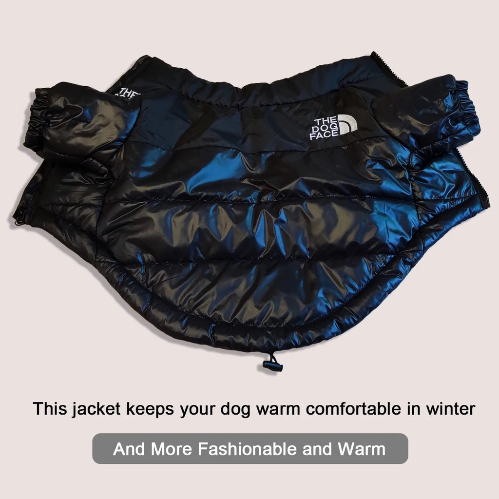 Winter Warmth Dog Jacket