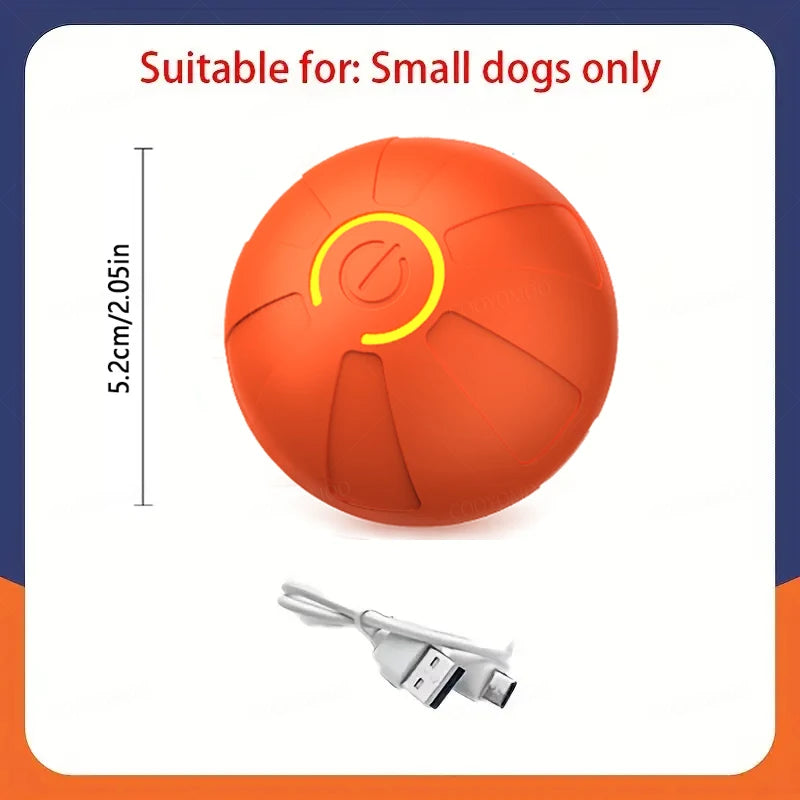 Interactive Play Ball for Happy Dogs