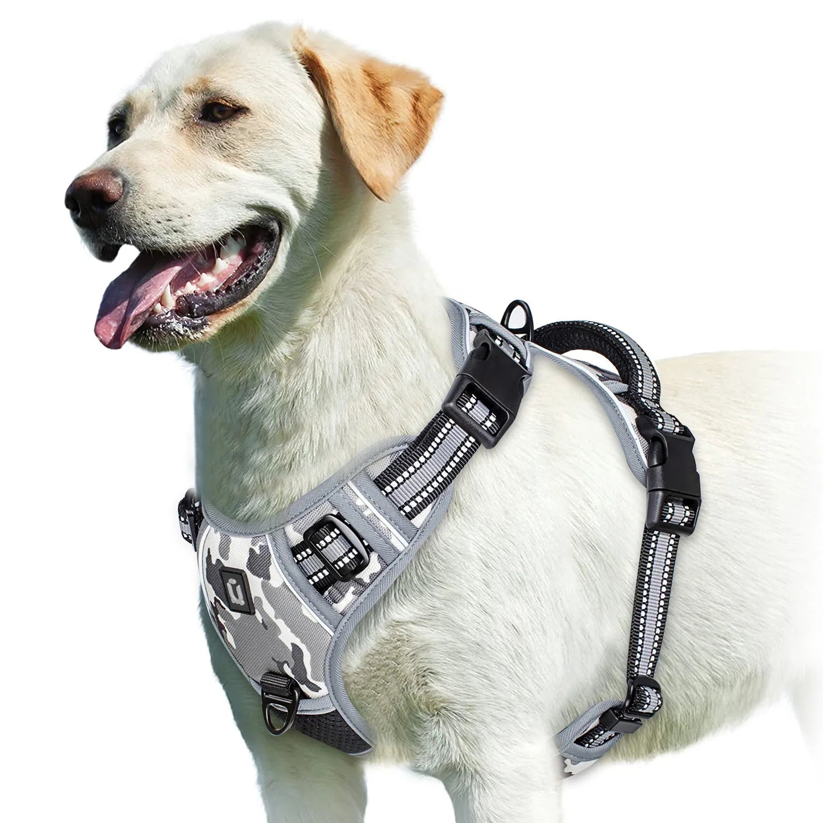 Comfort Control Dog Harness