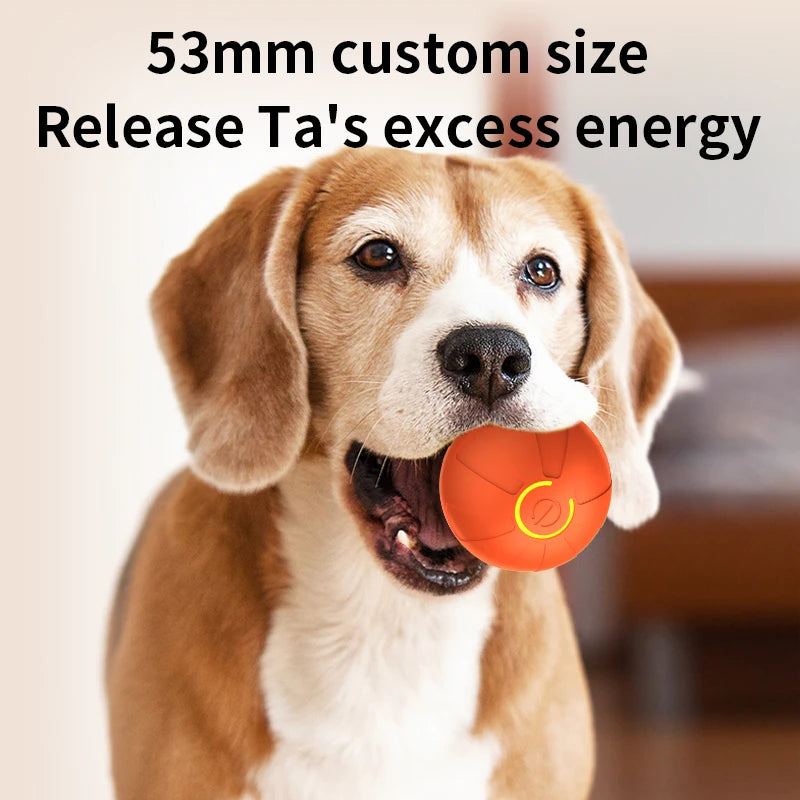 Interactive Play Ball for Happy Dogs